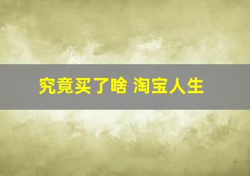 究竟买了啥 淘宝人生